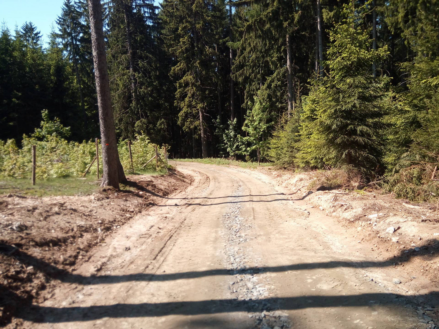 Rekonstrukce lesní cesty Svážnice - Okrouhlicky